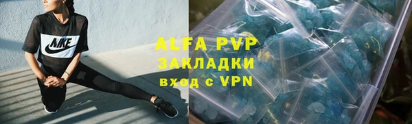 СК Бронницы