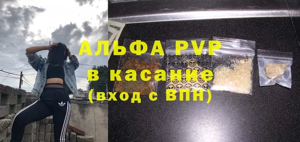 СК Бронницы