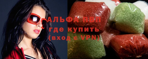 СК Бронницы