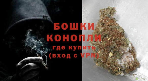 СК Бронницы