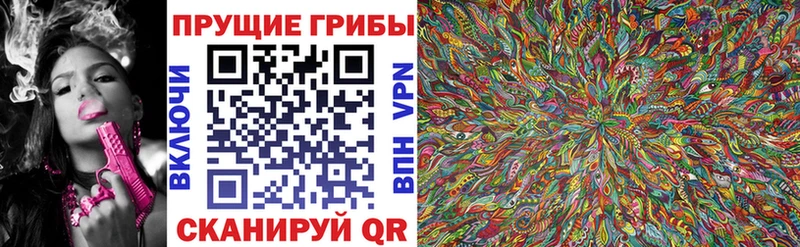 Псилоцибиновые грибы Magic Shrooms  Таганрог 